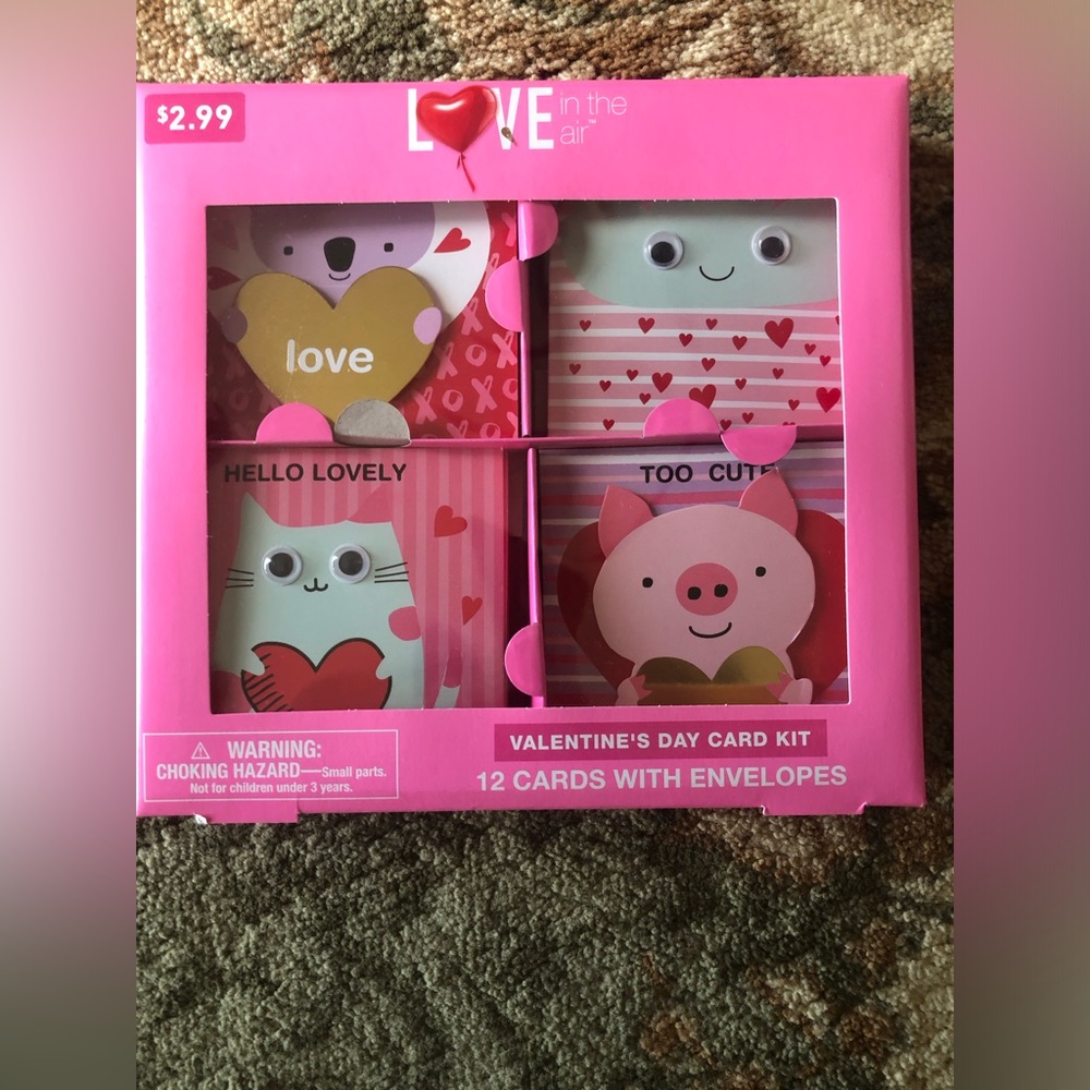 Valentine's Day Card Kit - Pink Love Design (12 Cards & Envelopes)
